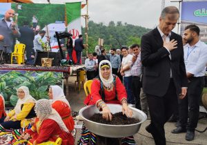 گزارش تصویری از برگزاری اولین جشنواره برداشت چای در لیسه رود