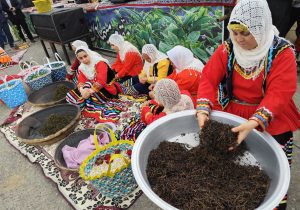 لنگرود؛ خانه چای و گردشگری،پیوندی بین فرهنگ و طبیعت