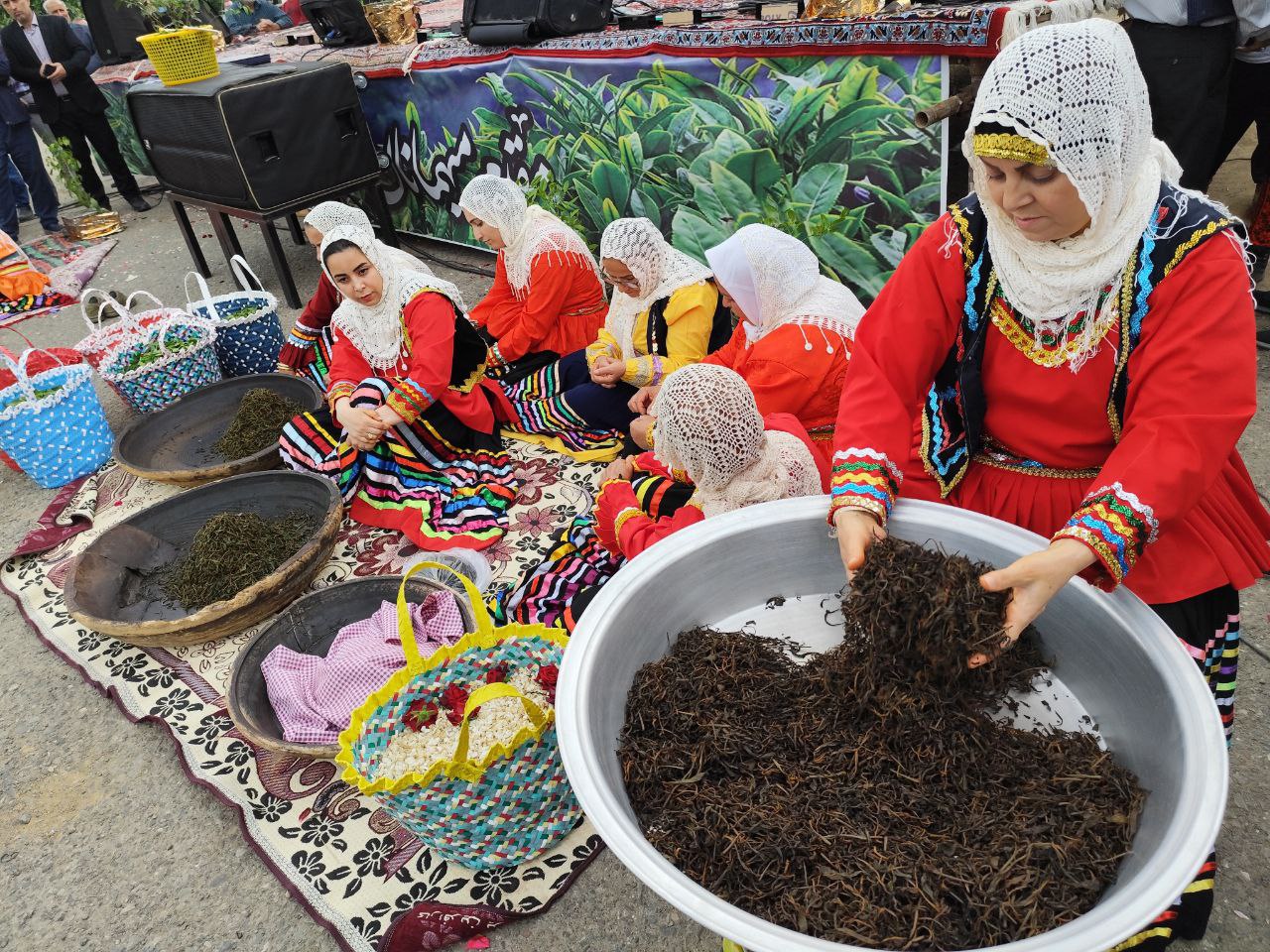 لنگرود؛ خانه چای و گردشگری،پیوندی بین فرهنگ و طبیعت