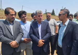 رئیس سازمان جهاد کشاورزی گیلان خبر داد:آغاز برداشت گندم و تریتیکاله در بیش از ۶۰۰۰ هکتار از اراضی رودبار