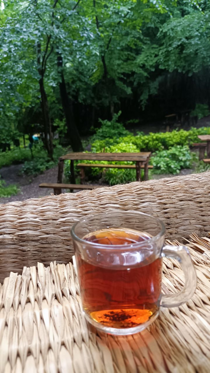 چای، ترانه‌ای در فنجان خاطره