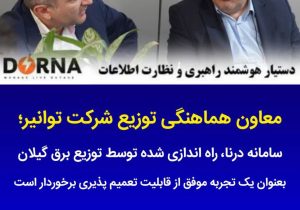 پرواز درنای گیلان بر فراز شبکه توزیع برق ایران