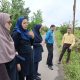 شبکه ملی مزارع الگویی؛ گامی به سوی کشاورزی دانش بنیان