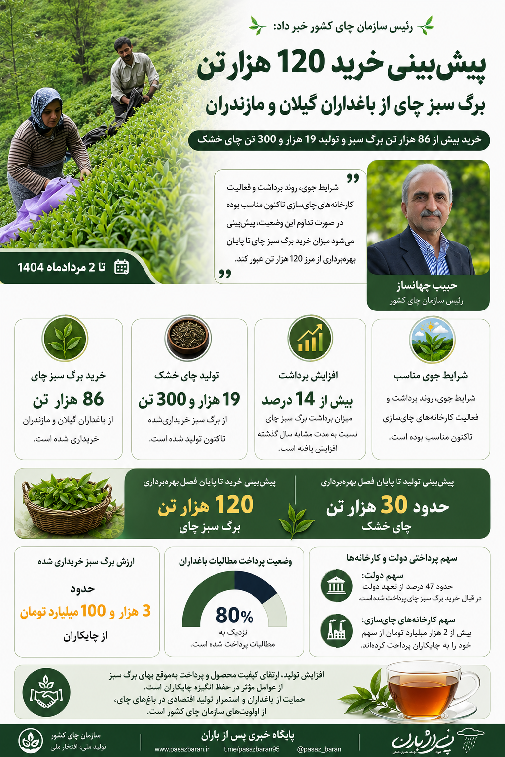 اینفو گرافیک پیش‌بینی خرید 120 هزار تن برگ سبز چای‌ از باغداران ‌گیلان و مازندران