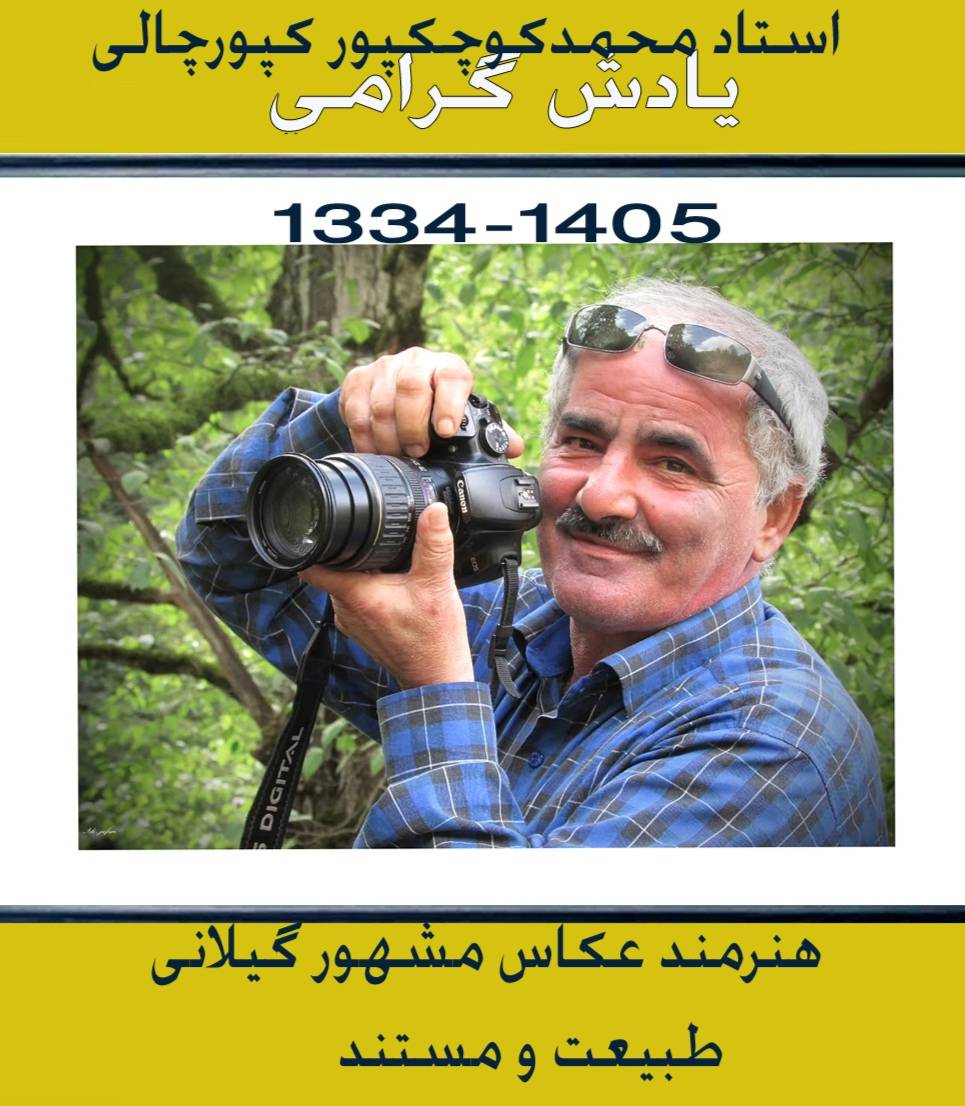 سکوتِ ویلچر و تبسمِ نگاتیوها؛روایتی از آخرین دیدار با محمدکوچکپور کپورچالی در لاهیجان