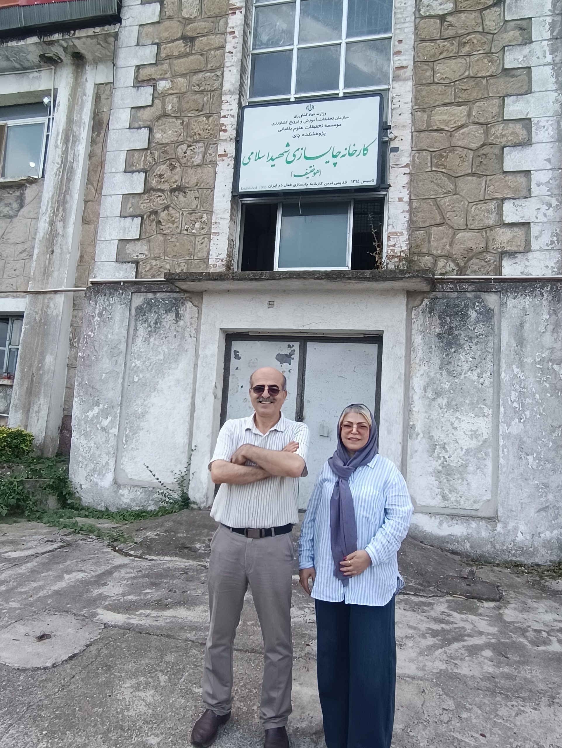 «هوختیف» هنوز نفس می‌کشد؛ احیای کارخانه تاریخی چای لاهیجان با همت ایرانی