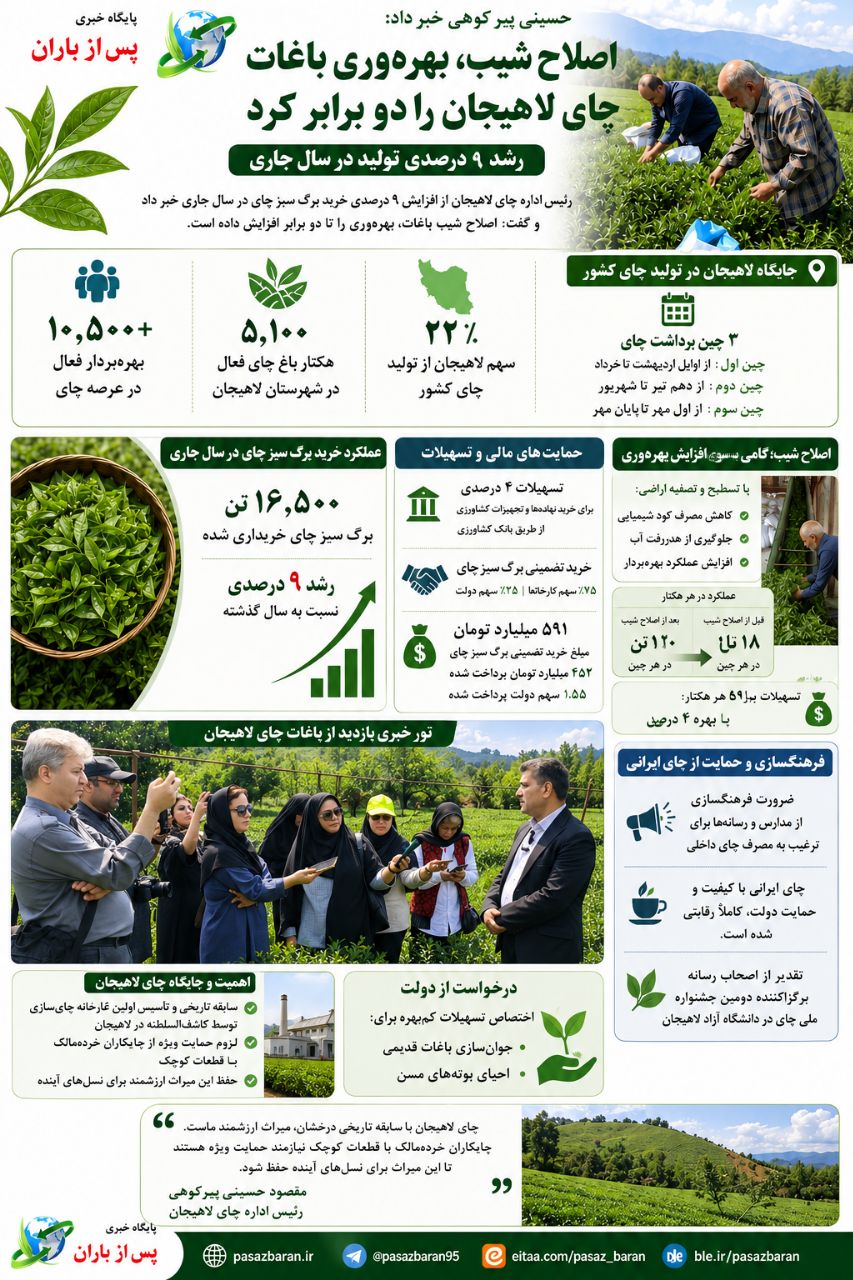 اینفوگرافیک؛ رییس اداره چای لاهیجان خبر داد: اصلاح شیب، بهره‌وری باغات چای لاهیجان را دو برابر کرد/ رشد ۹ درصدی تولید در سال جاری