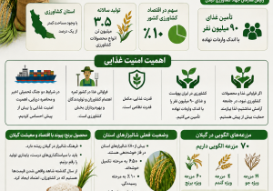 اینفوگرافیک؛اقتصاد کشاورزی گیلان؛ از معرفی ۲ رقم جدید برنج تا دیپلماسی غذایی