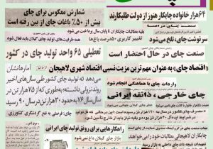 گلایه های سبز از تیترهای زرد، چای درآستانه یخ زدگی:وقتی چای را به حرف آوردید