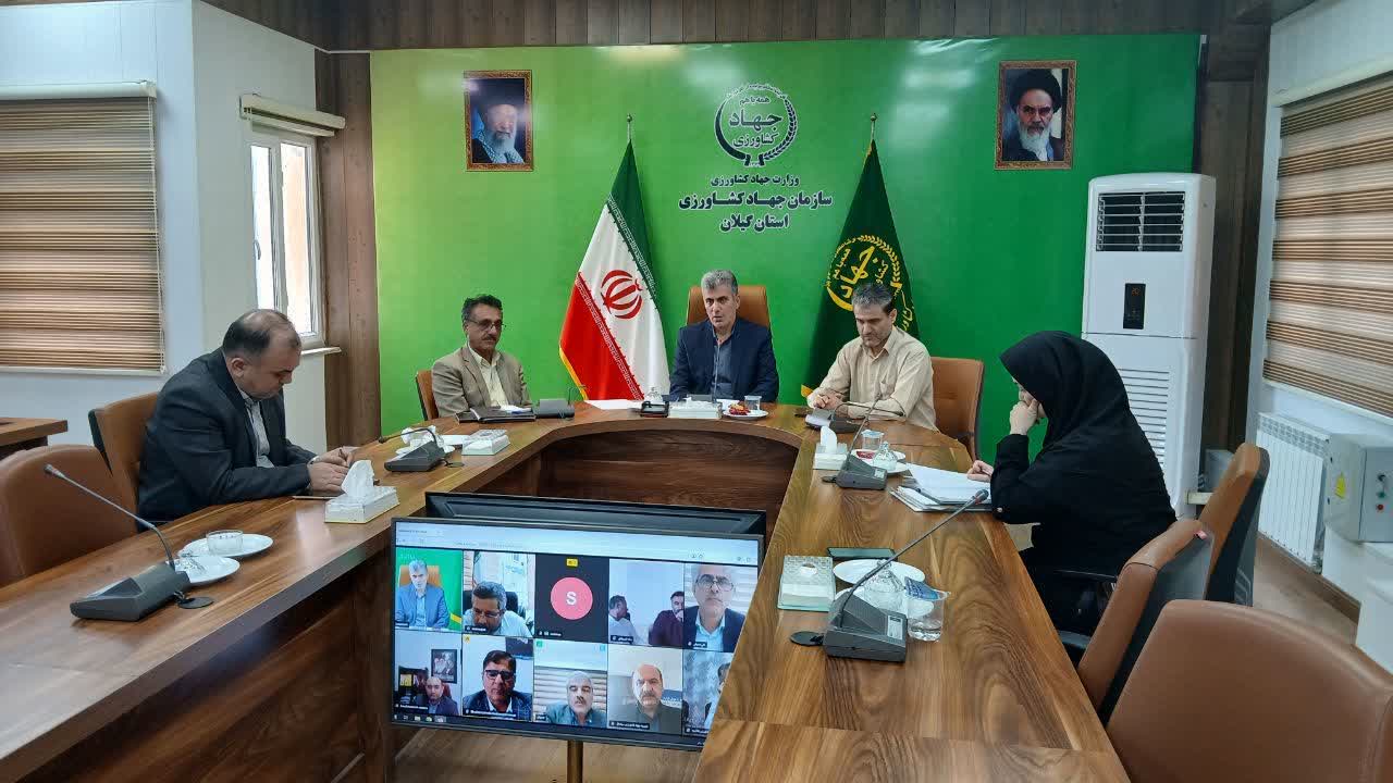 شالیکوبی‌ های گیلان زیر ذره بین جهاد کشاورزی؛برنج سالم کشاورز خط قرمز جهاد کشاورزی گیلان