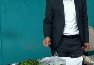 چین پاییزه چای در ایستگاه پایانی؛ گردش مالی ۷۳۰ میلیارد تومانی در لنگرود